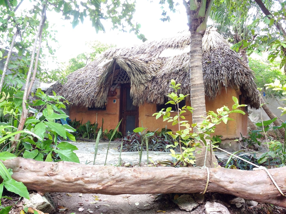 Casitas Kinsol
