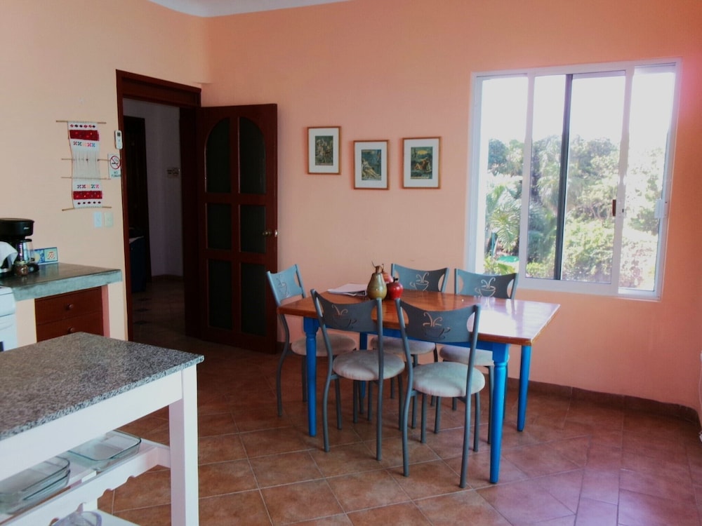 Casa Gatos
