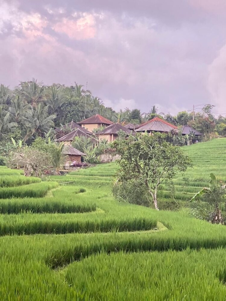 Balitrees Retreats view 4
