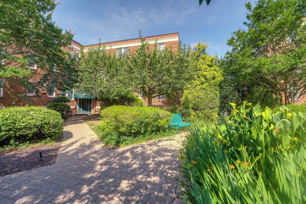 Convenient Arlington Condo ~ 4 Mi to National Mall view 3