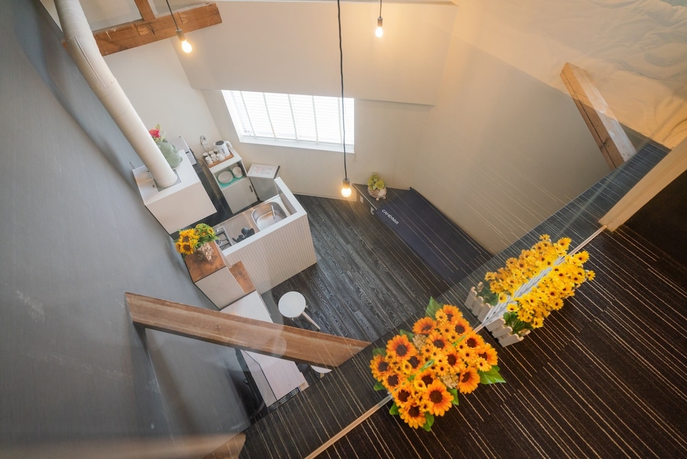New open Sunflower