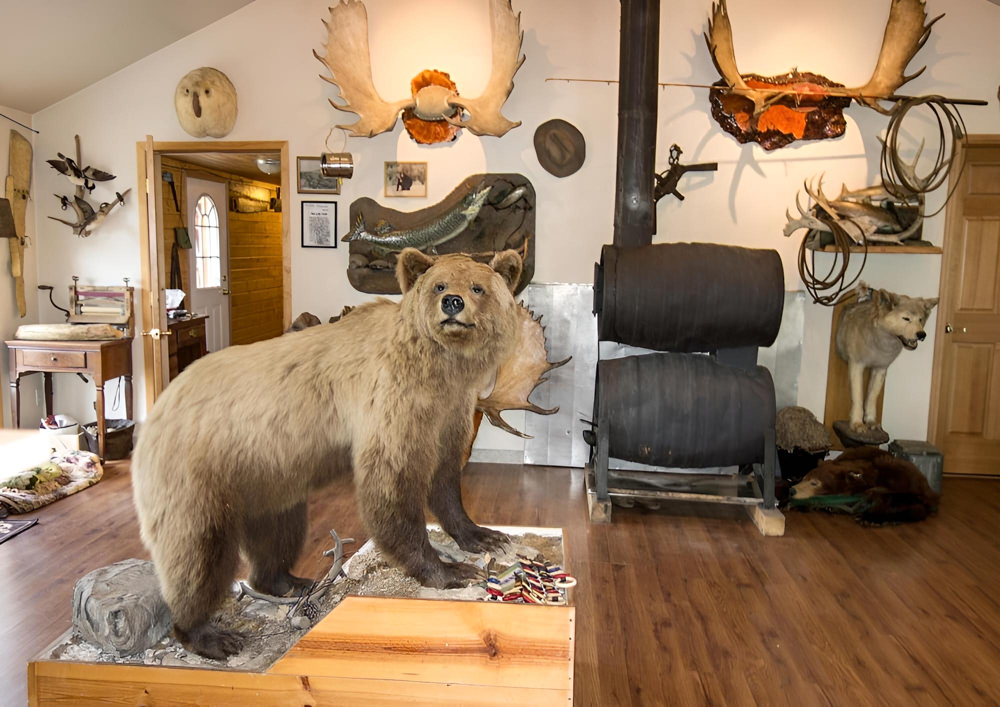 Discovery Yukon Lodgings