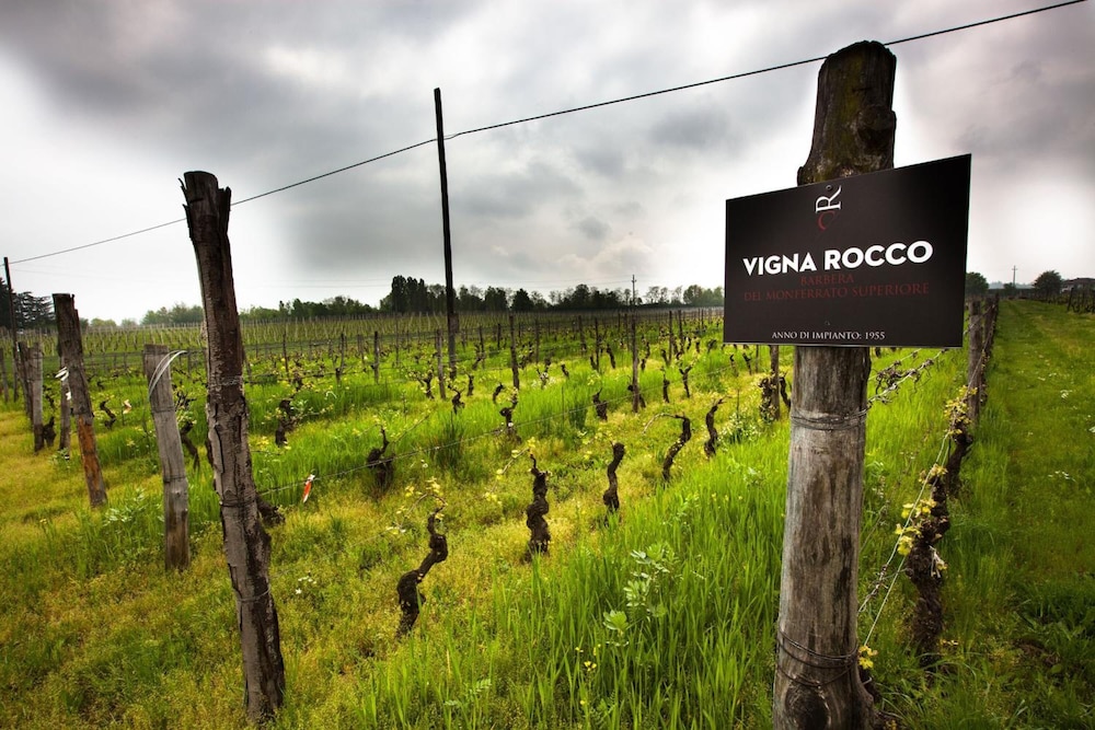 Eco Bio Agriturismo La Bella Vite