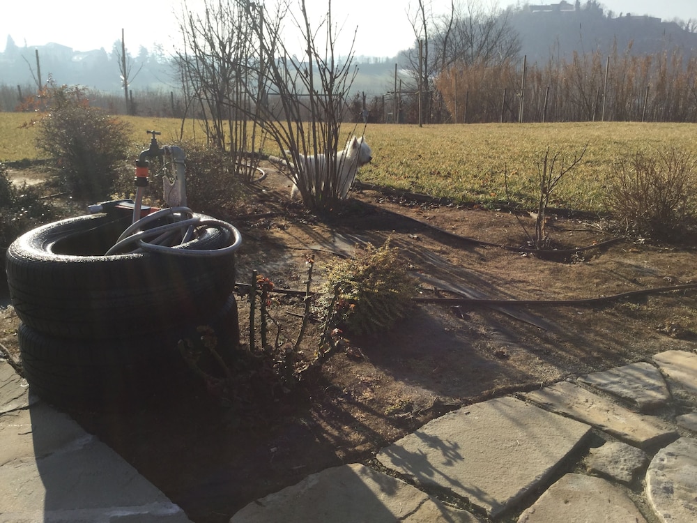 Photo 13