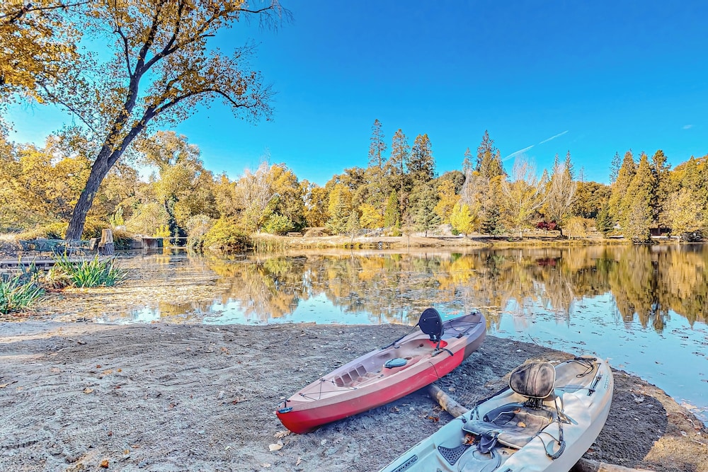 1BR Dog-friendly Lakefront Cabin w/ Canoes