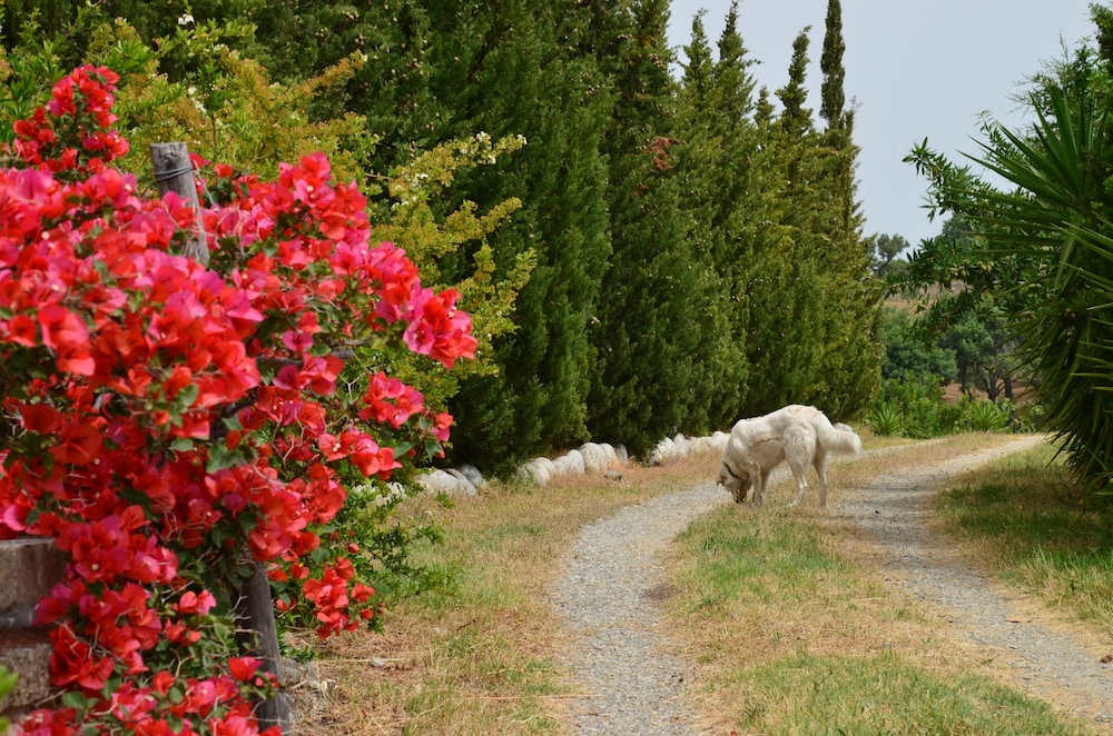 agriturismo borgo piazza