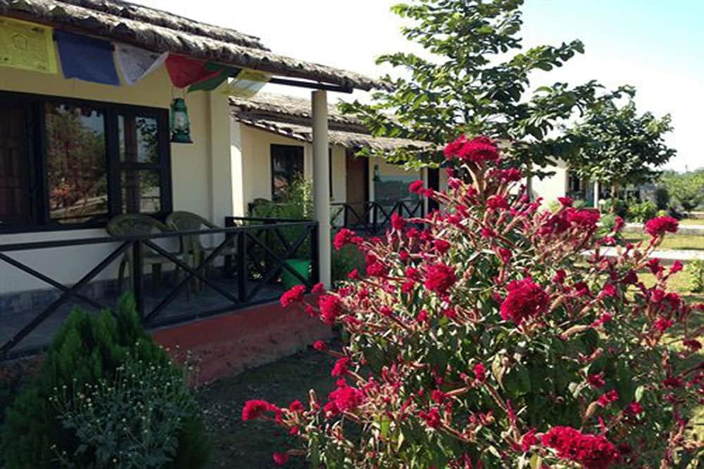 Wildlife Adventure Resort