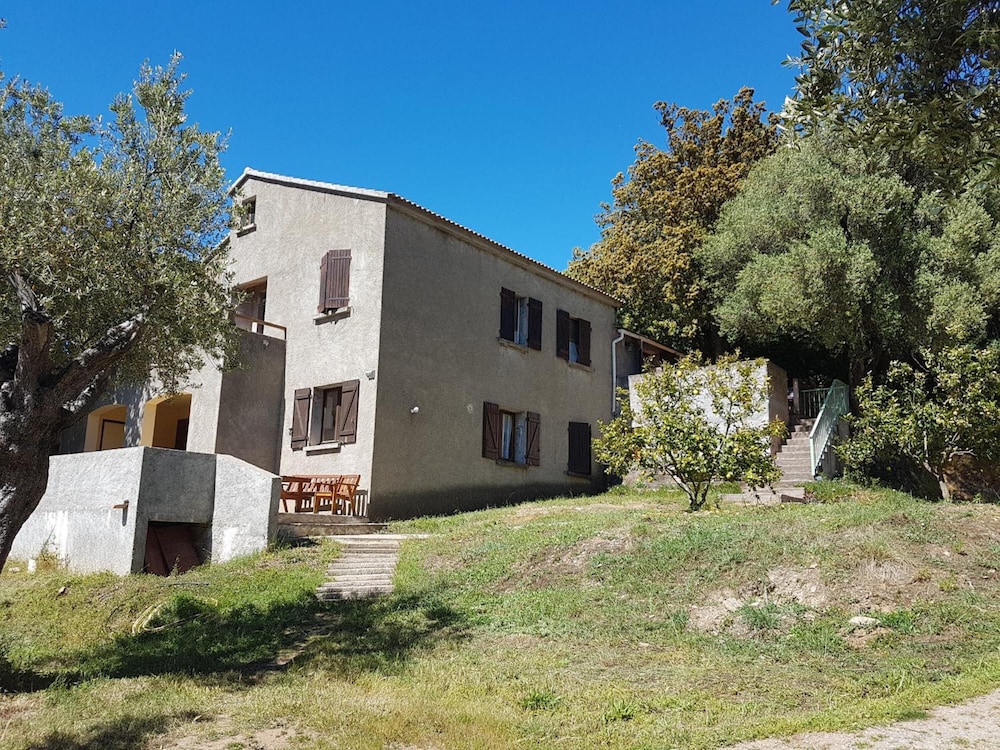 A Casa Di L'Alivu