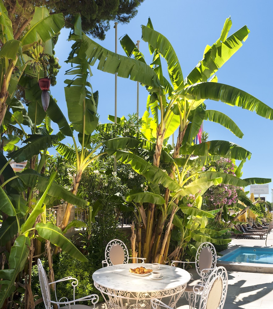 Temple Miletos Spa Oteli - Image 40