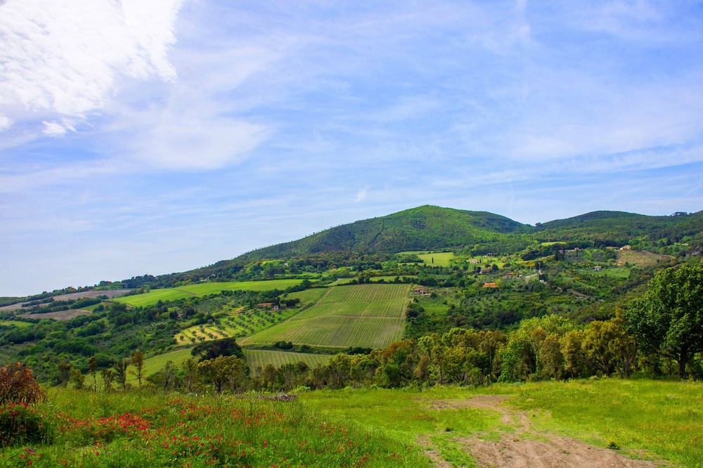Wonderful Private Villa With Pool in Riparbella view 2