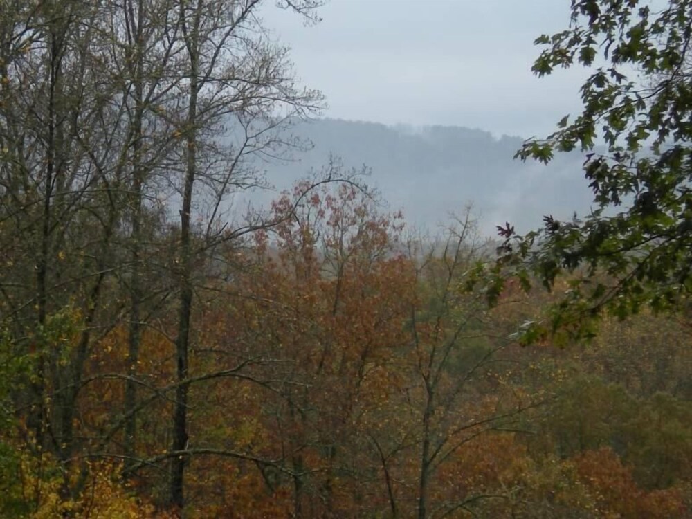 Turkey Feather Nevaeh Cabin Rentals