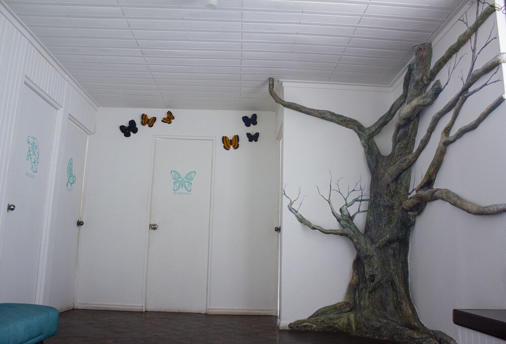 Photo 46