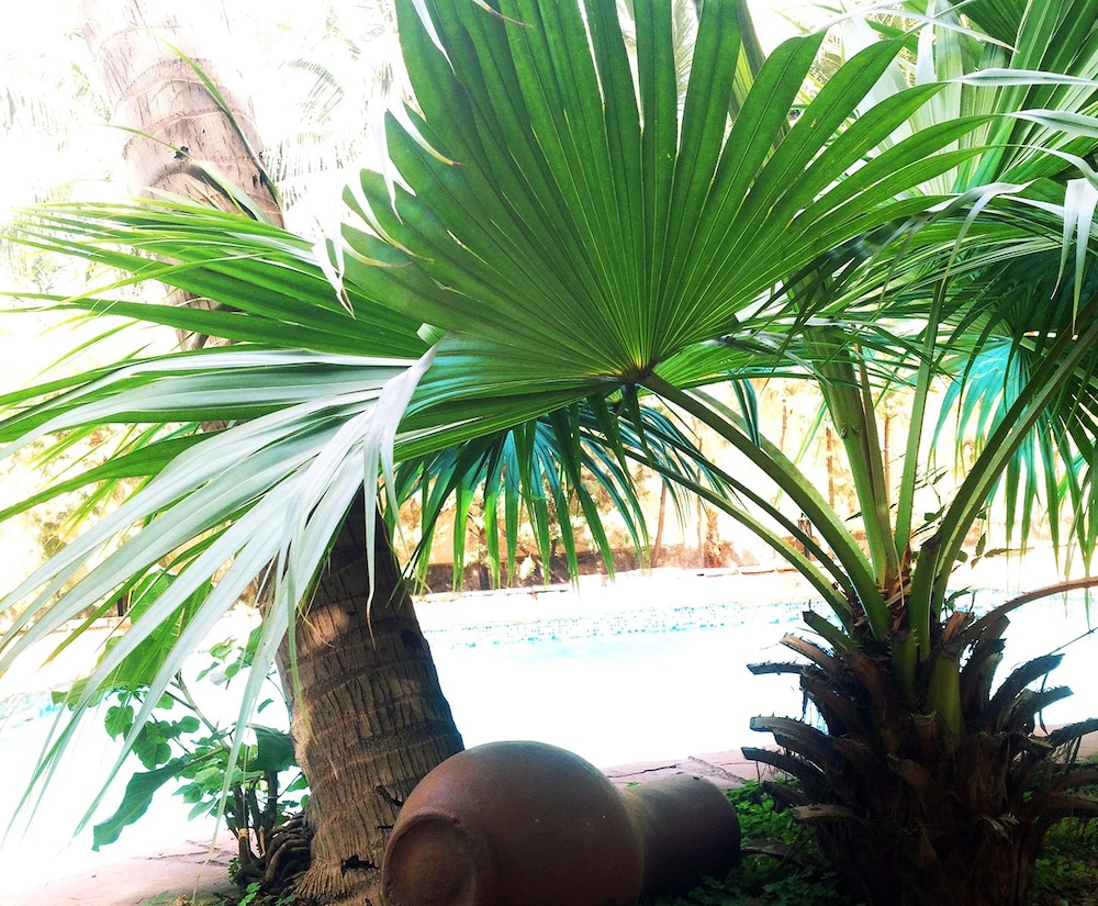 Bamako Vacations - Hotel La Chaumiere - Property Image 16