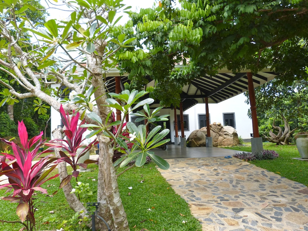 Photo 7