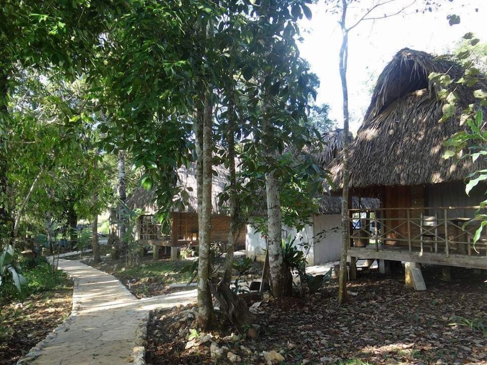 Photo 20