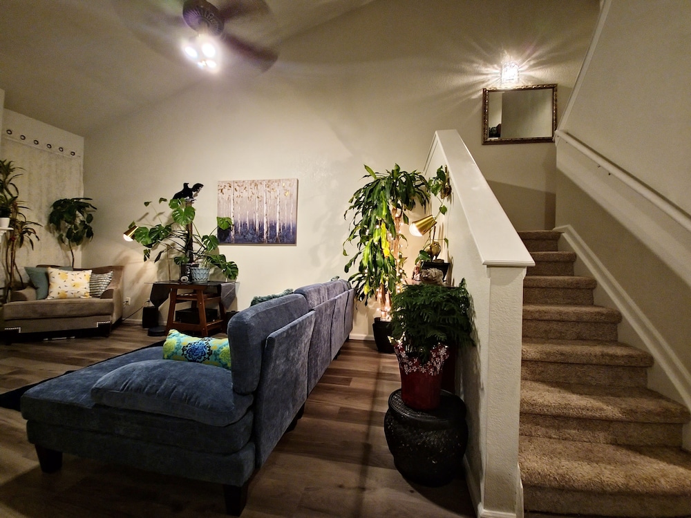 Casa de gato