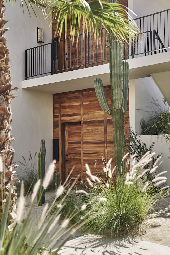 Four Seasons Resort Los Cabos at Costa Palmas - Property Image 182