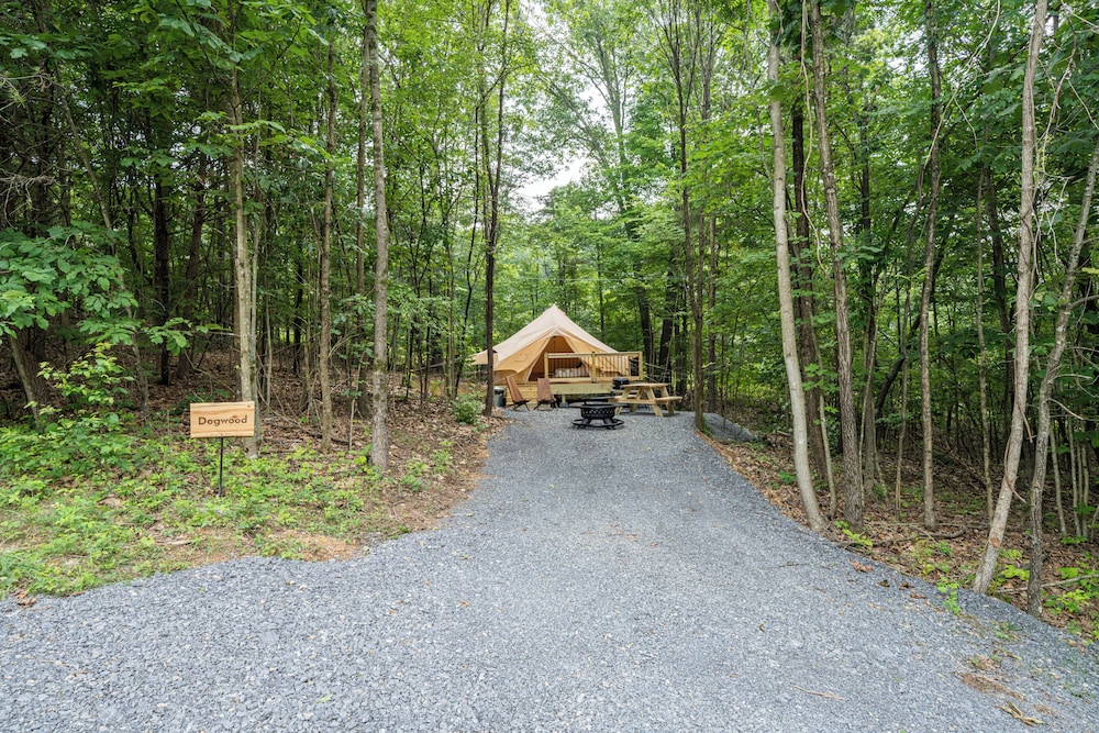 Firefly Ridge