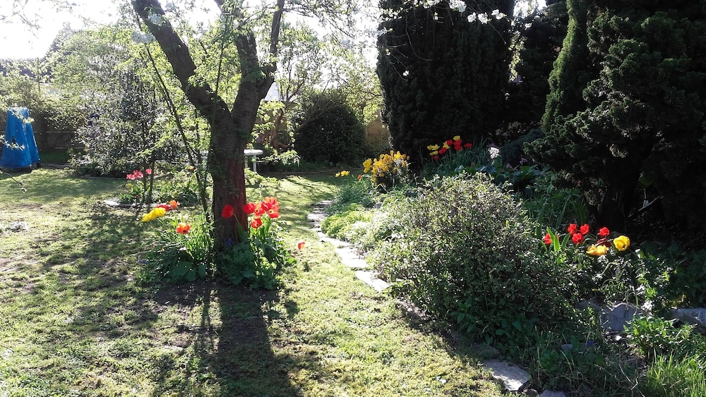 Photo 44