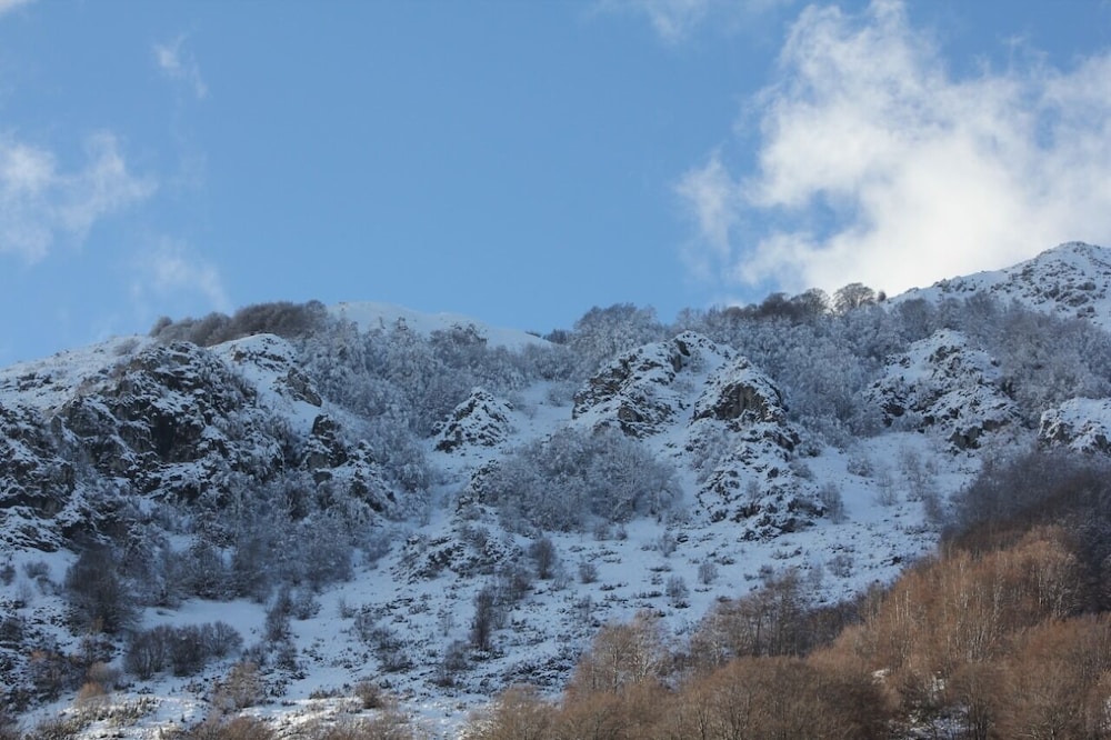 Joen Village