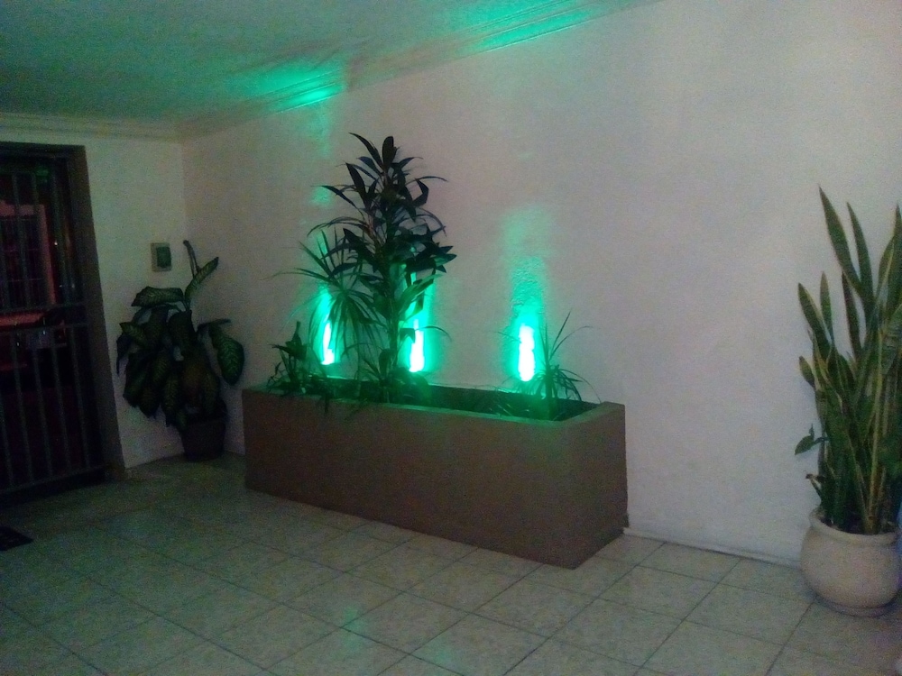 Photo 42
