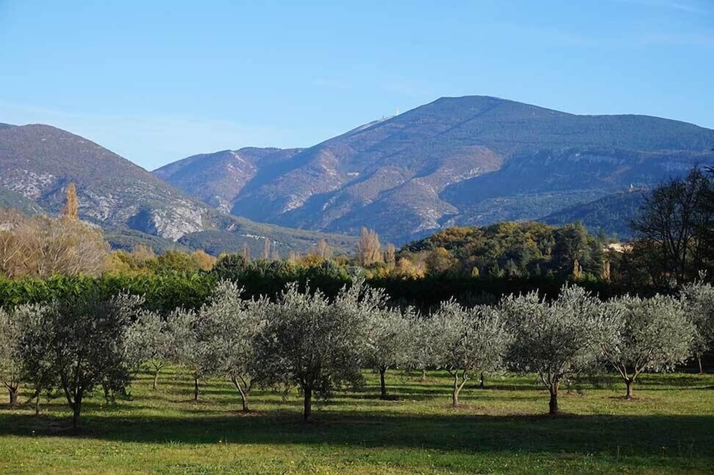Mas de Cocagne en Provence