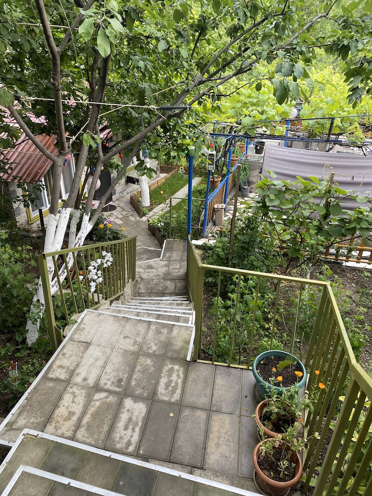Mimihouse view 2