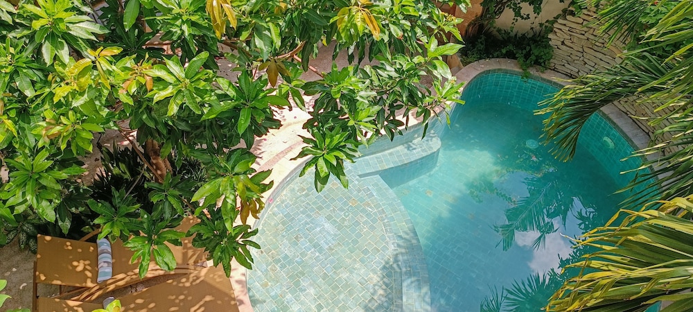 Soraya Yoga Wellness Center