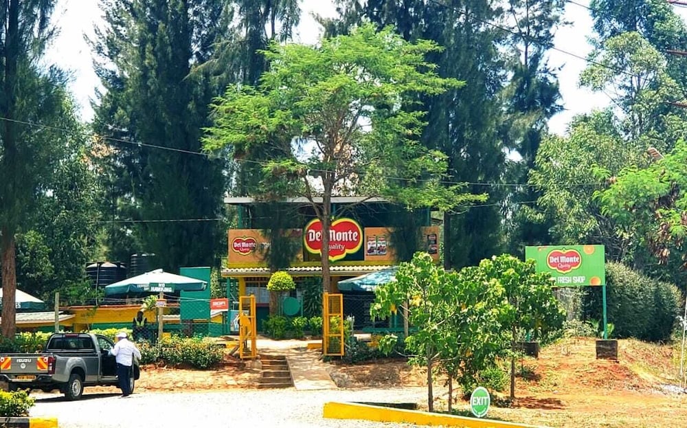 Photo 8