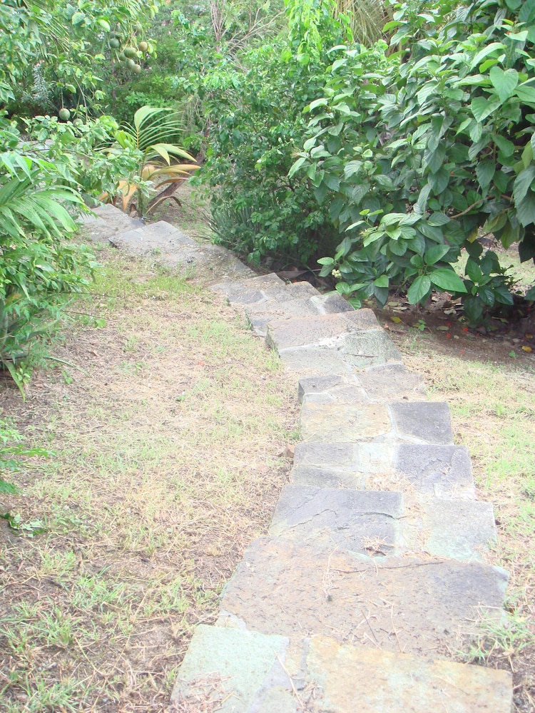 The Carib House 5 Bedrooms And Pool Close To Beach