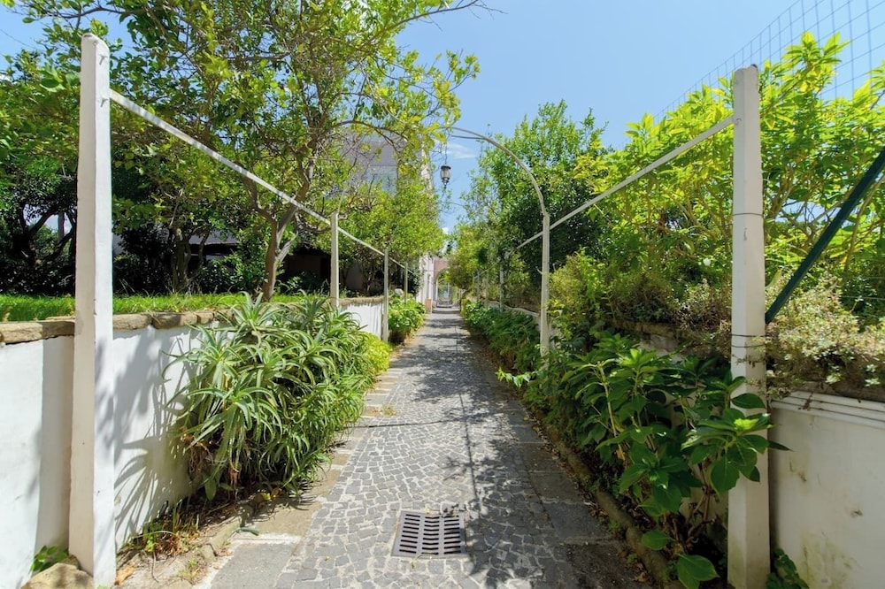 Casa Elsa