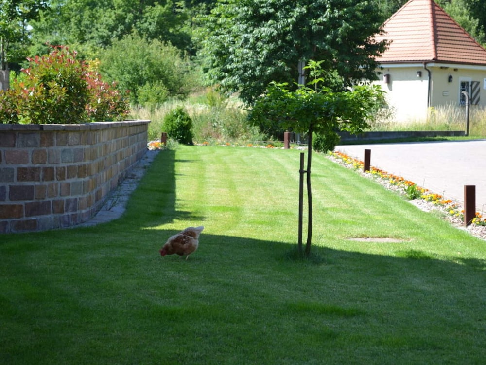 Vakantiewoning in Zwarte Woud
