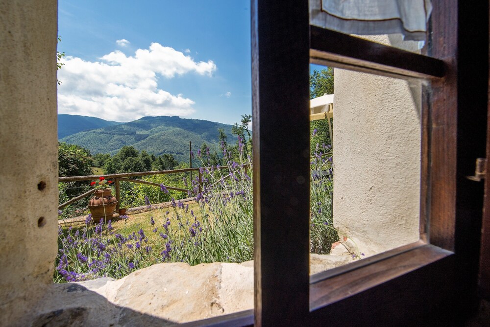 Agriturismo il Gufo