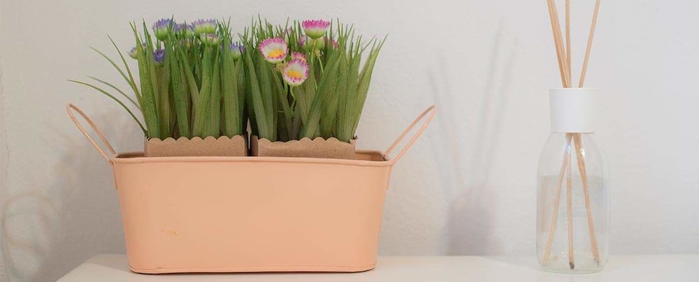 Camere Nicolina 3 photo 3