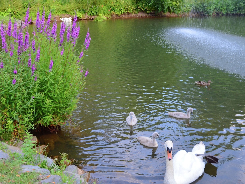 Holiday Farm Situated Next to the Kellerwald-edersee National Park With a Sunbathing Lawn