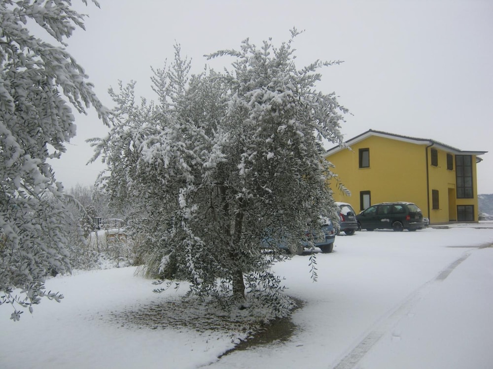 Photo 20