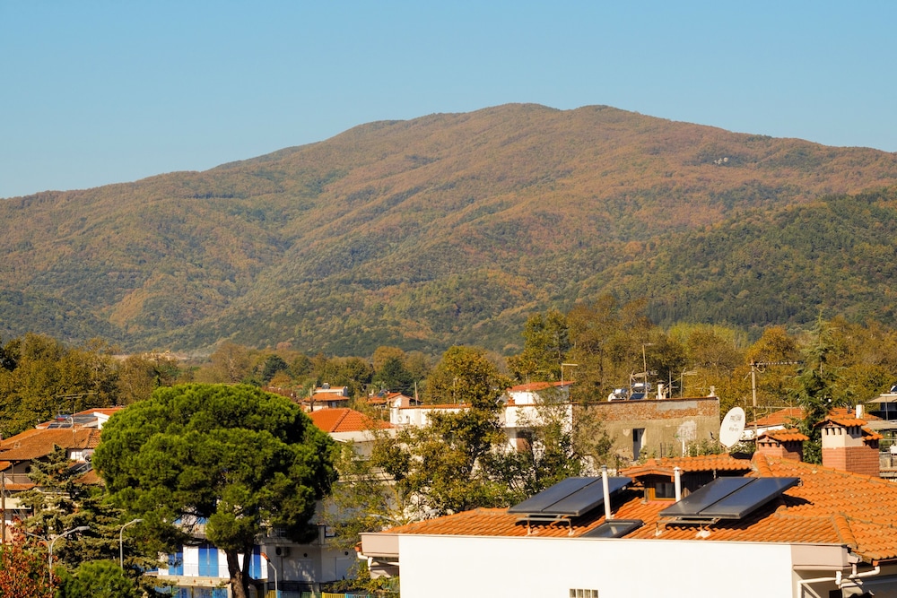 Aura Luxury Suites - Olympiada Cozy Getaways, Billede 39