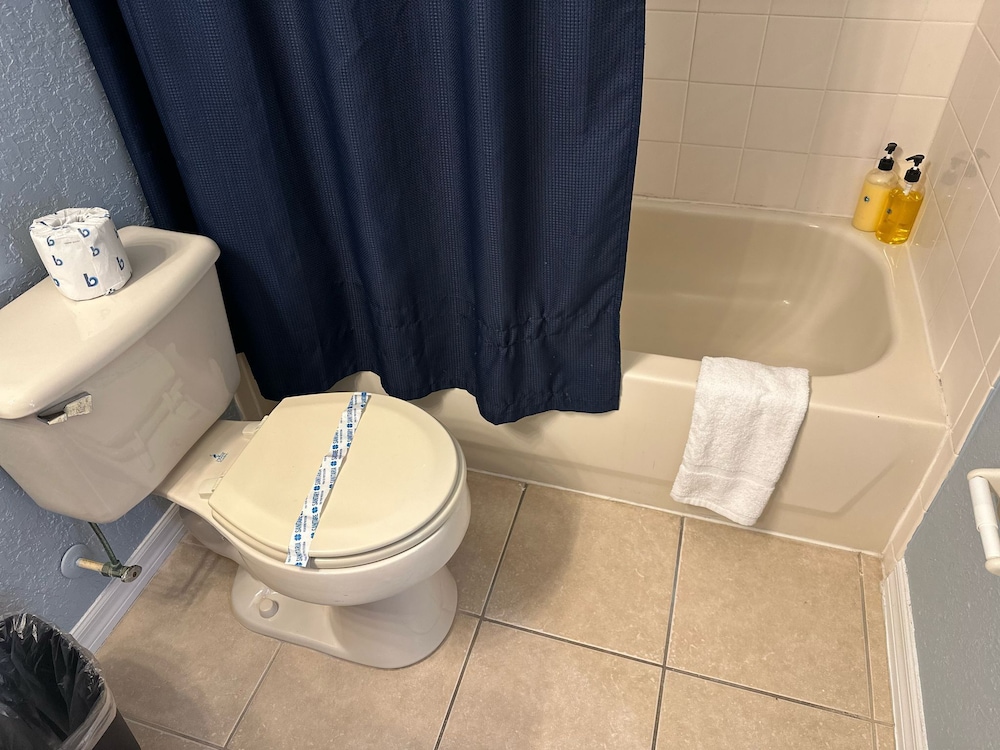 Regal Palms Swanky - Image 3