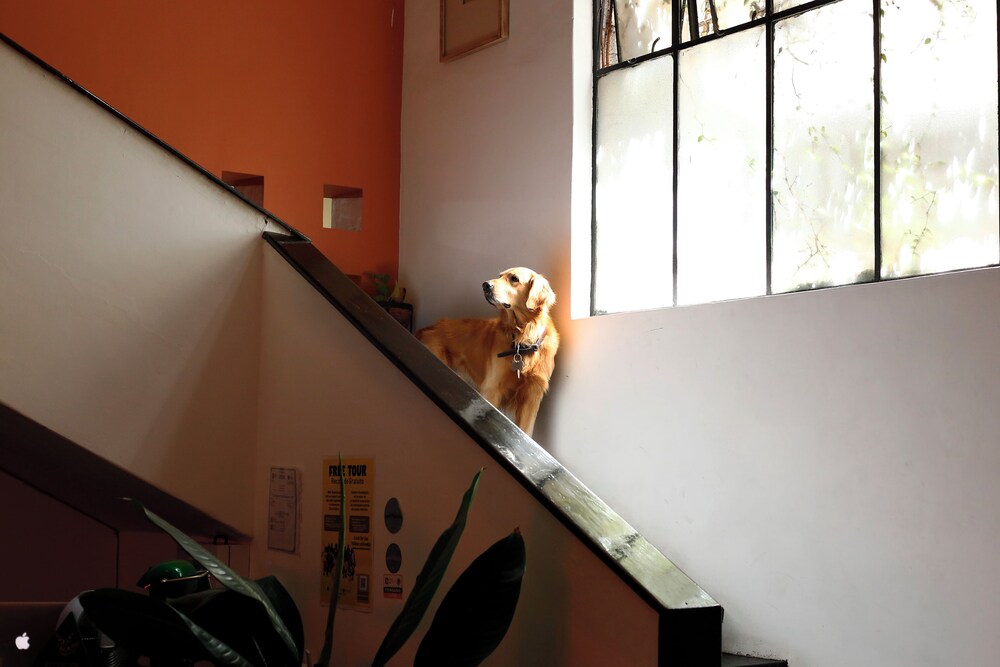 Casa Sabina