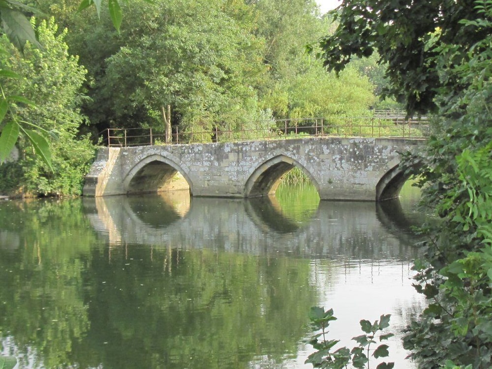 Photo 25