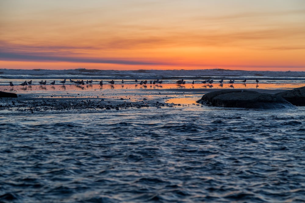 Kalaloch Lodge, Foto 48