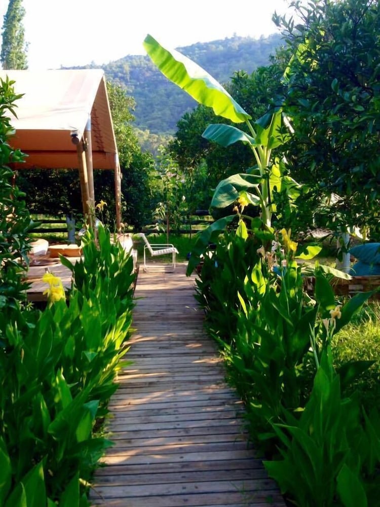Campo Portakal Eco Glamping Cirali
