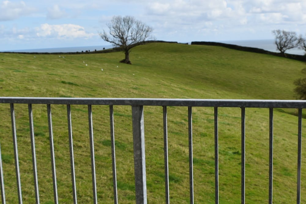 Frogwell