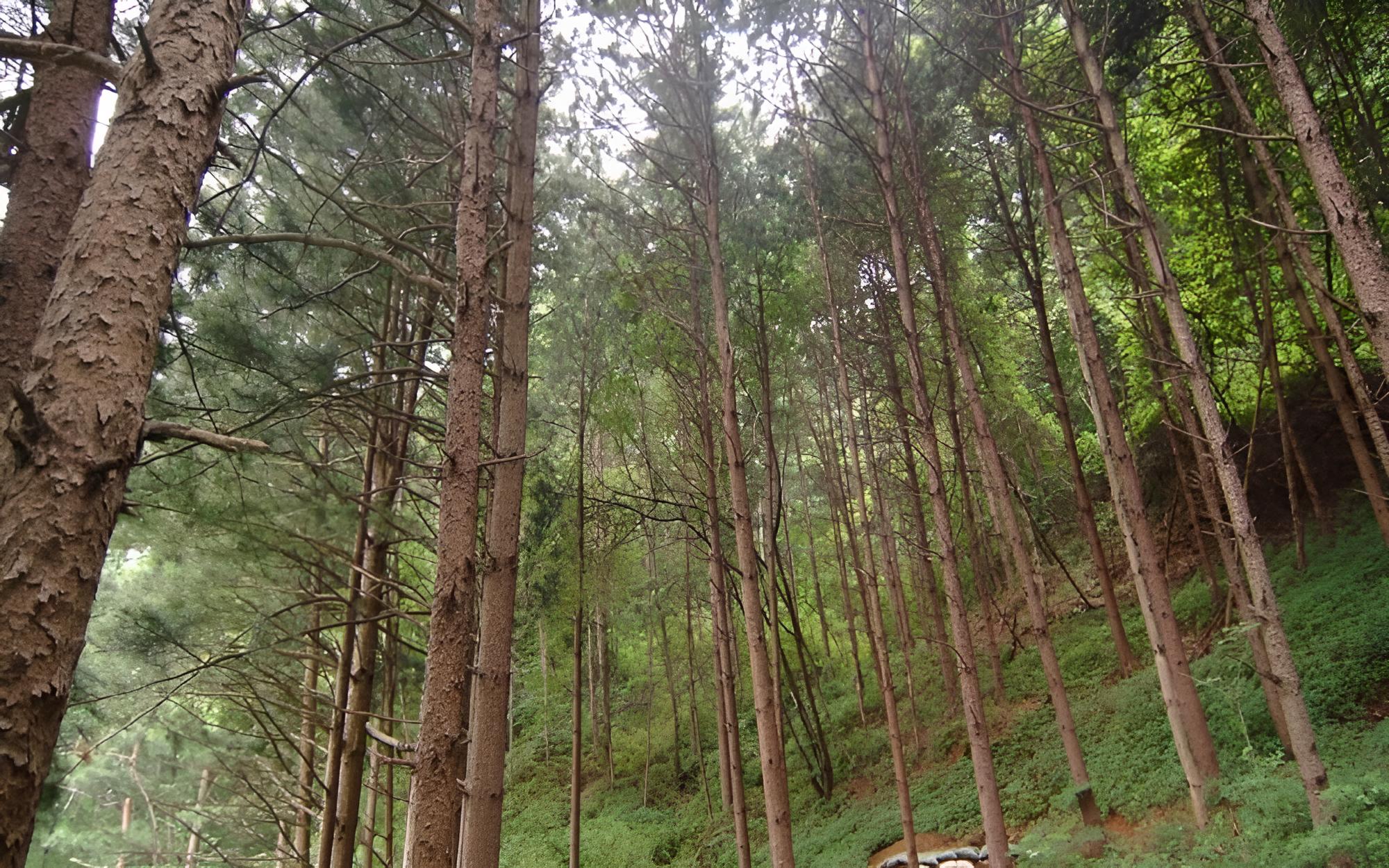 Photo 41