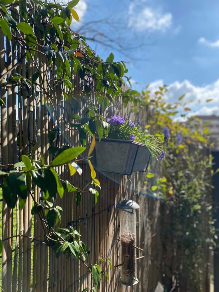 Homely 1 Bedroom Apartment in South East London