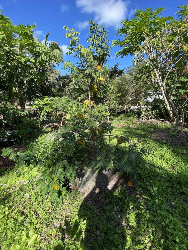 Photo 46