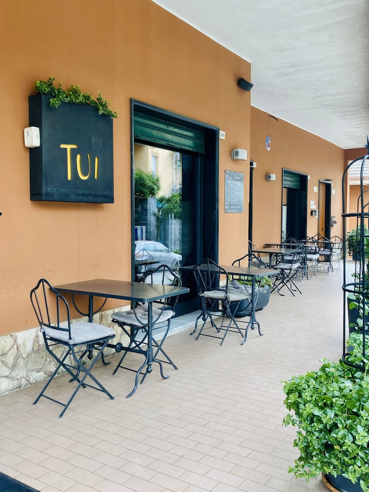 Tuibeds