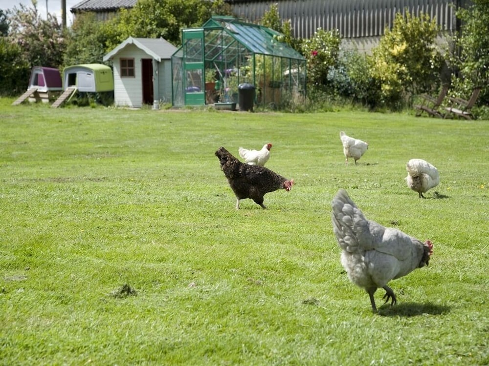 Padley Farm