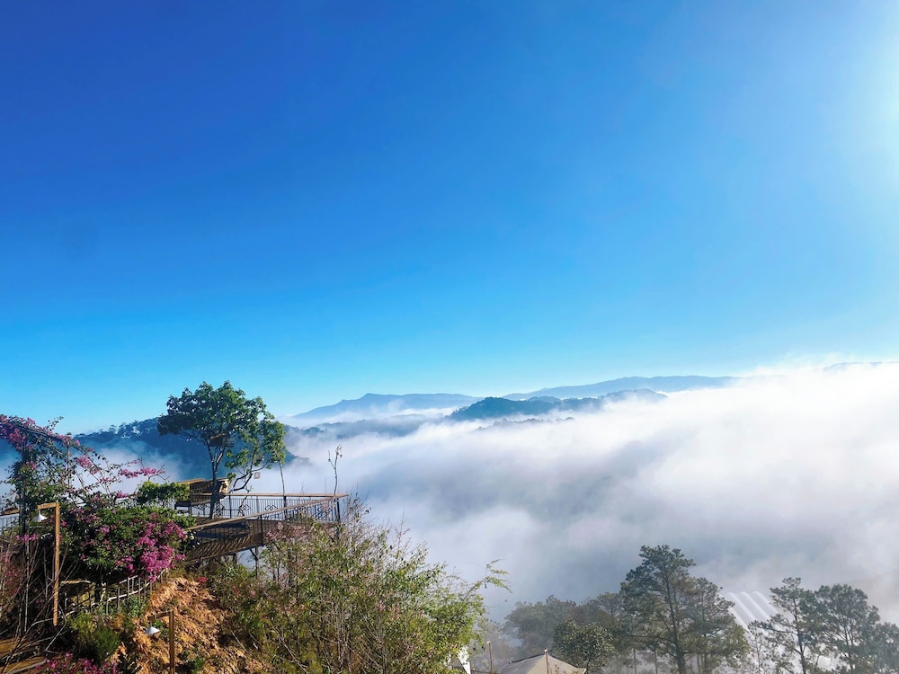 Mây Glamping, Đà Lạt - 17