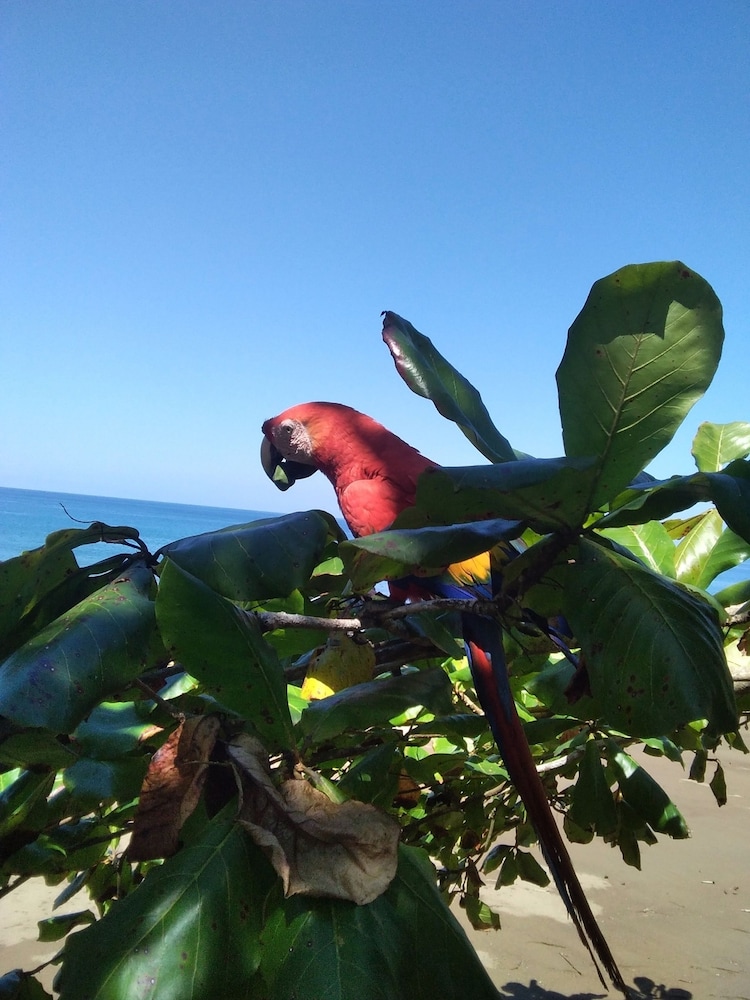Cabinasyafethosa caletas view 2